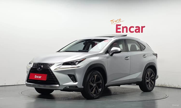 NX300h