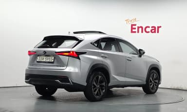 NX300h