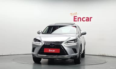 NX300h