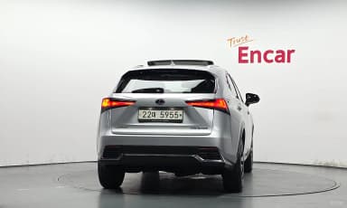 NX300h