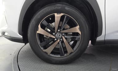 NX300h