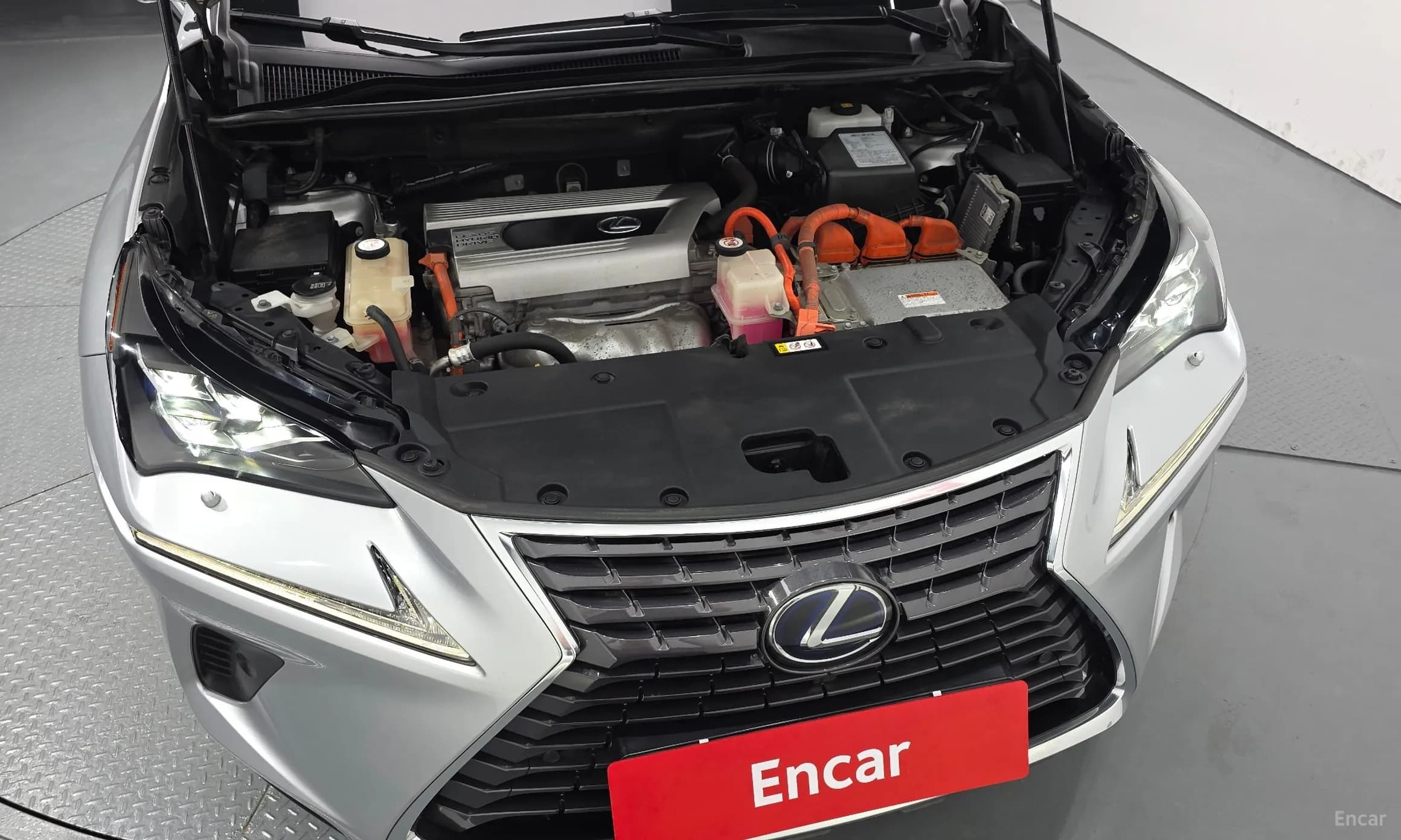 NX300h