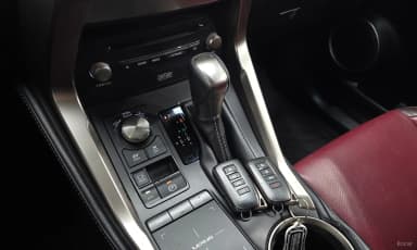 NX300h