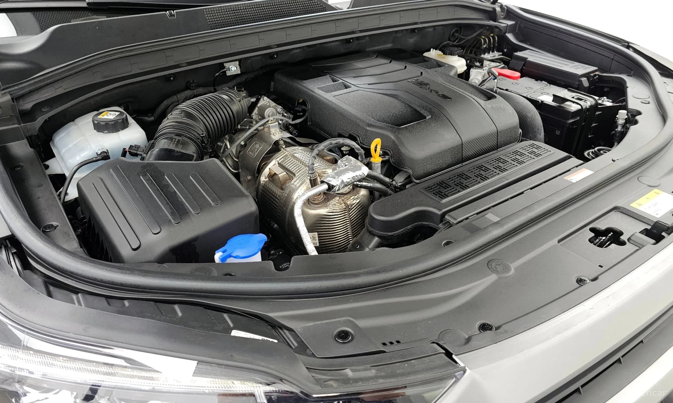 Musso Sport (Q250)