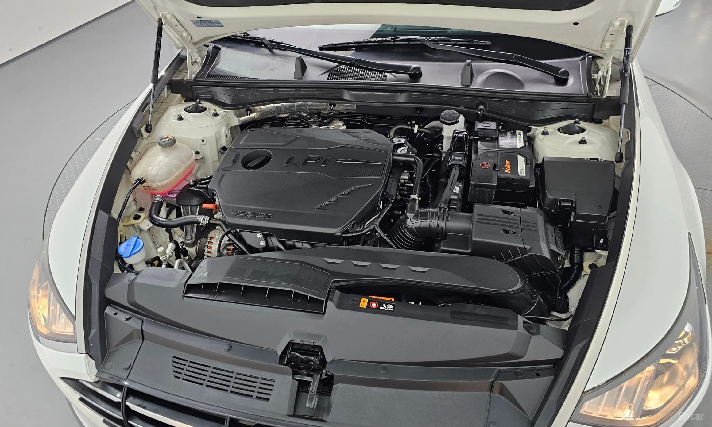 Sonata (DN8)