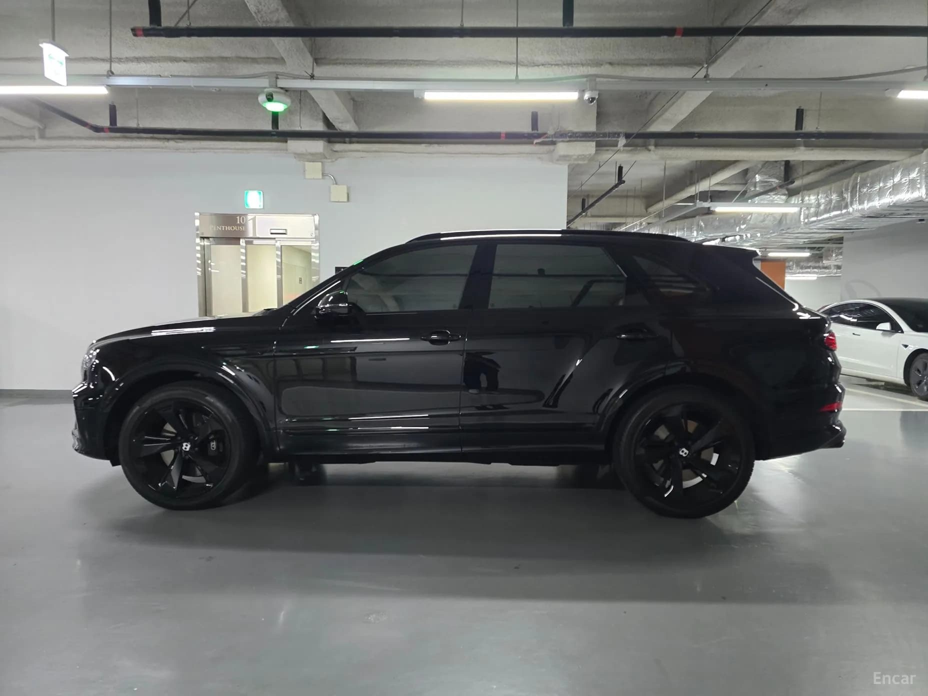 Bentayga