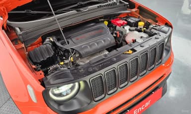 Renegade