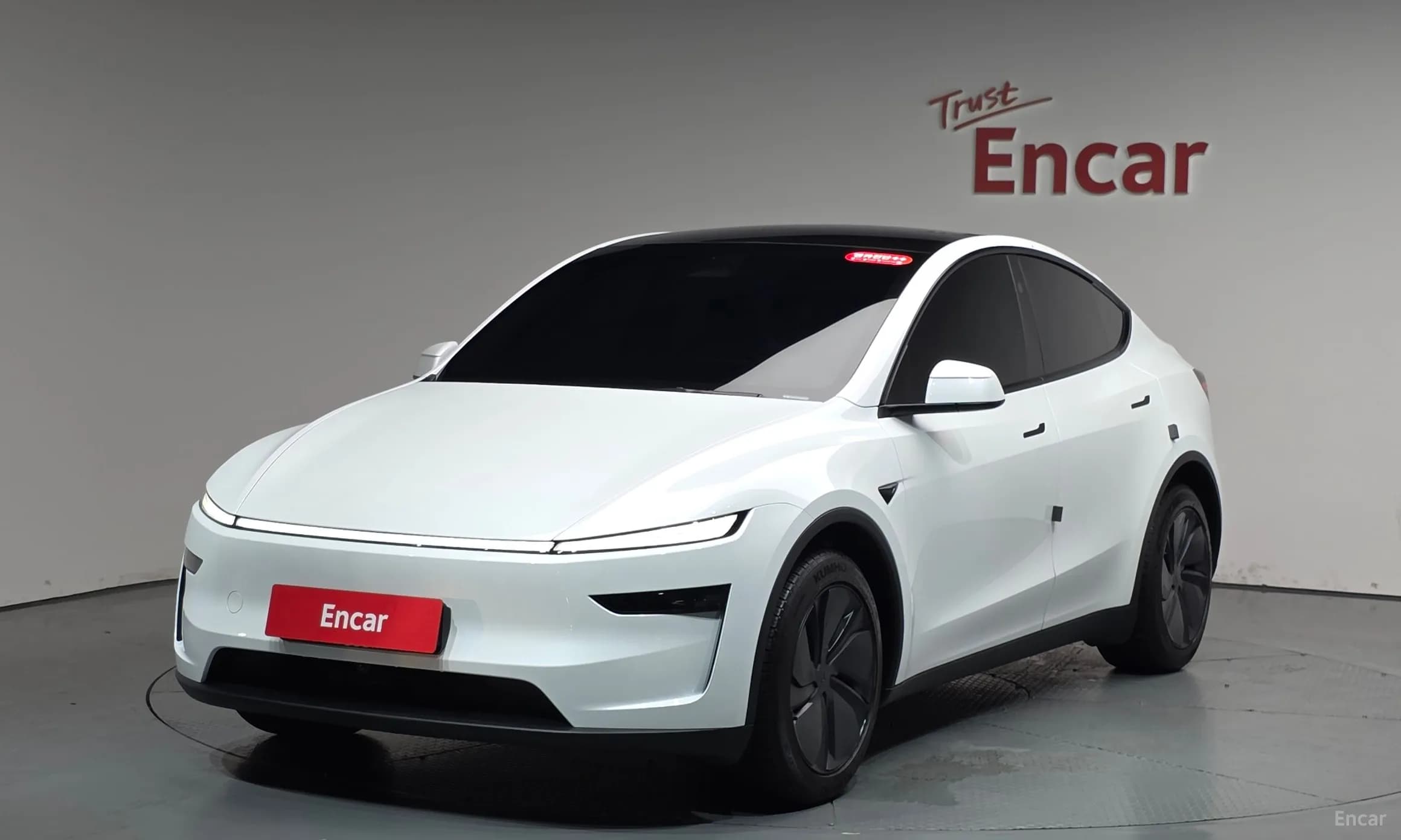 Model Y