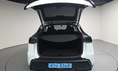 Model Y