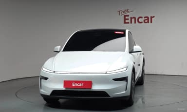 Model Y