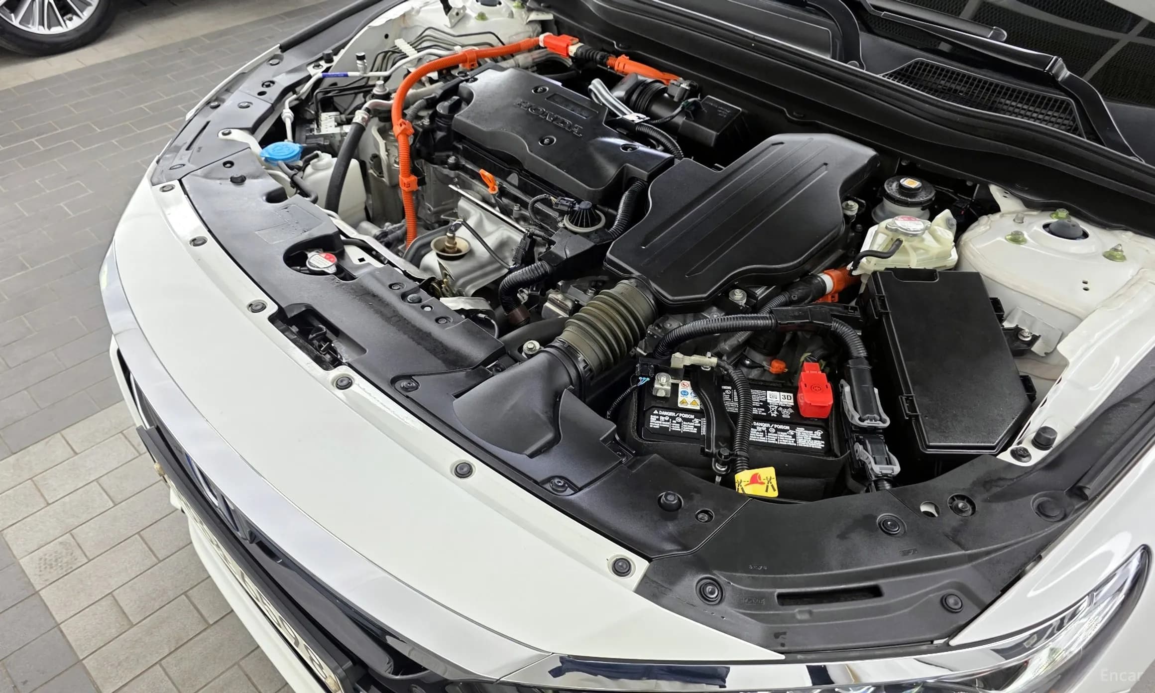 Accord 10th Generation