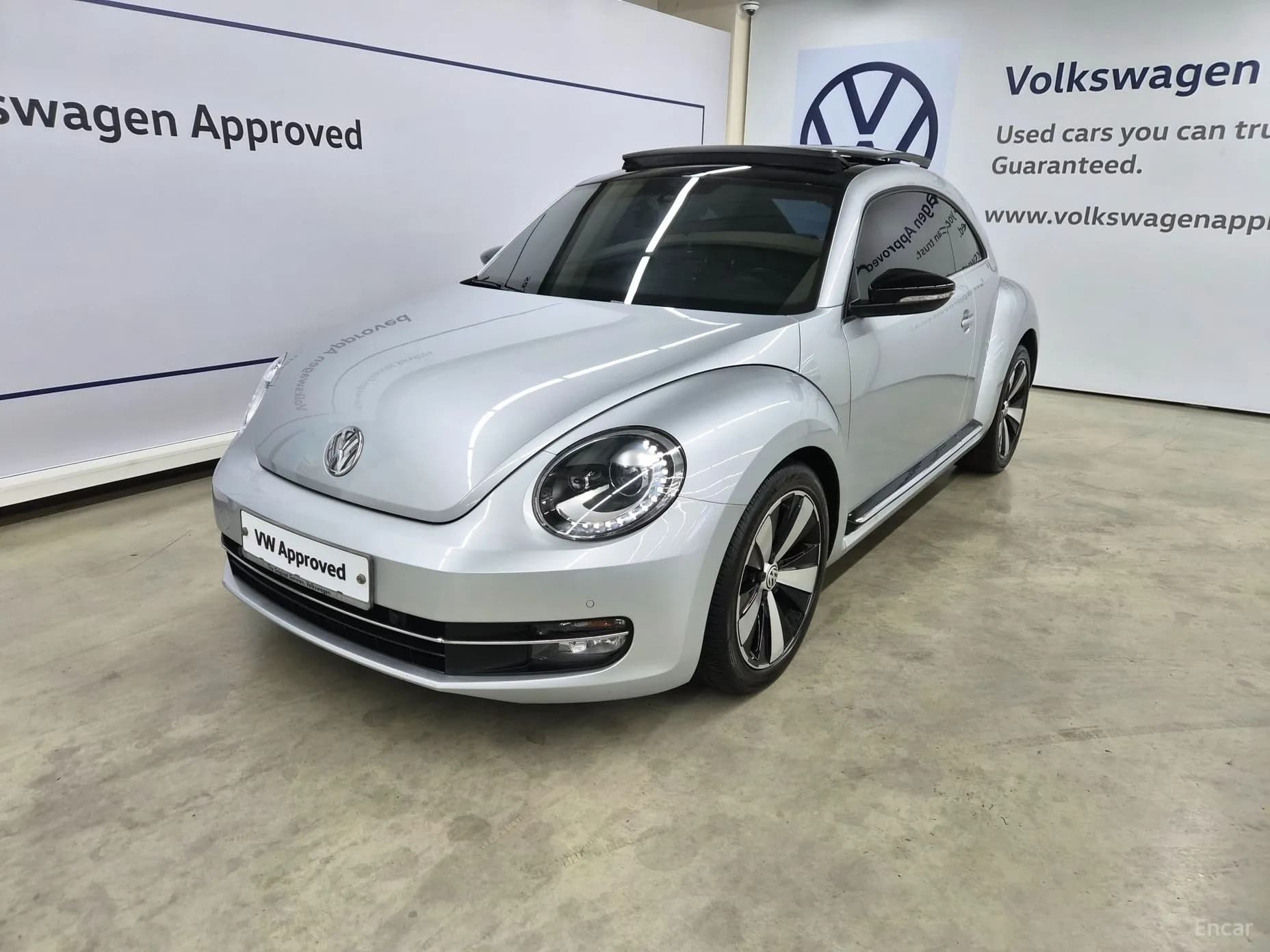 The Beetle