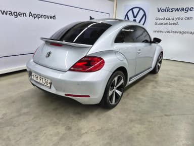The Beetle