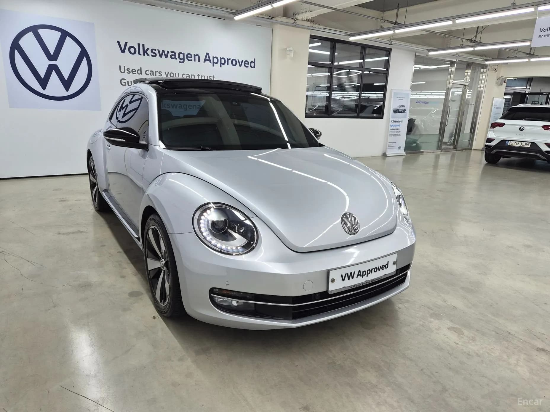 The Beetle