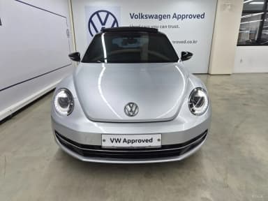 The Beetle