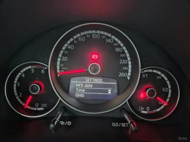 The Beetle