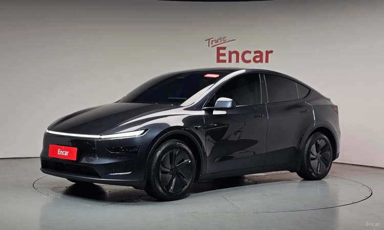 Model Y