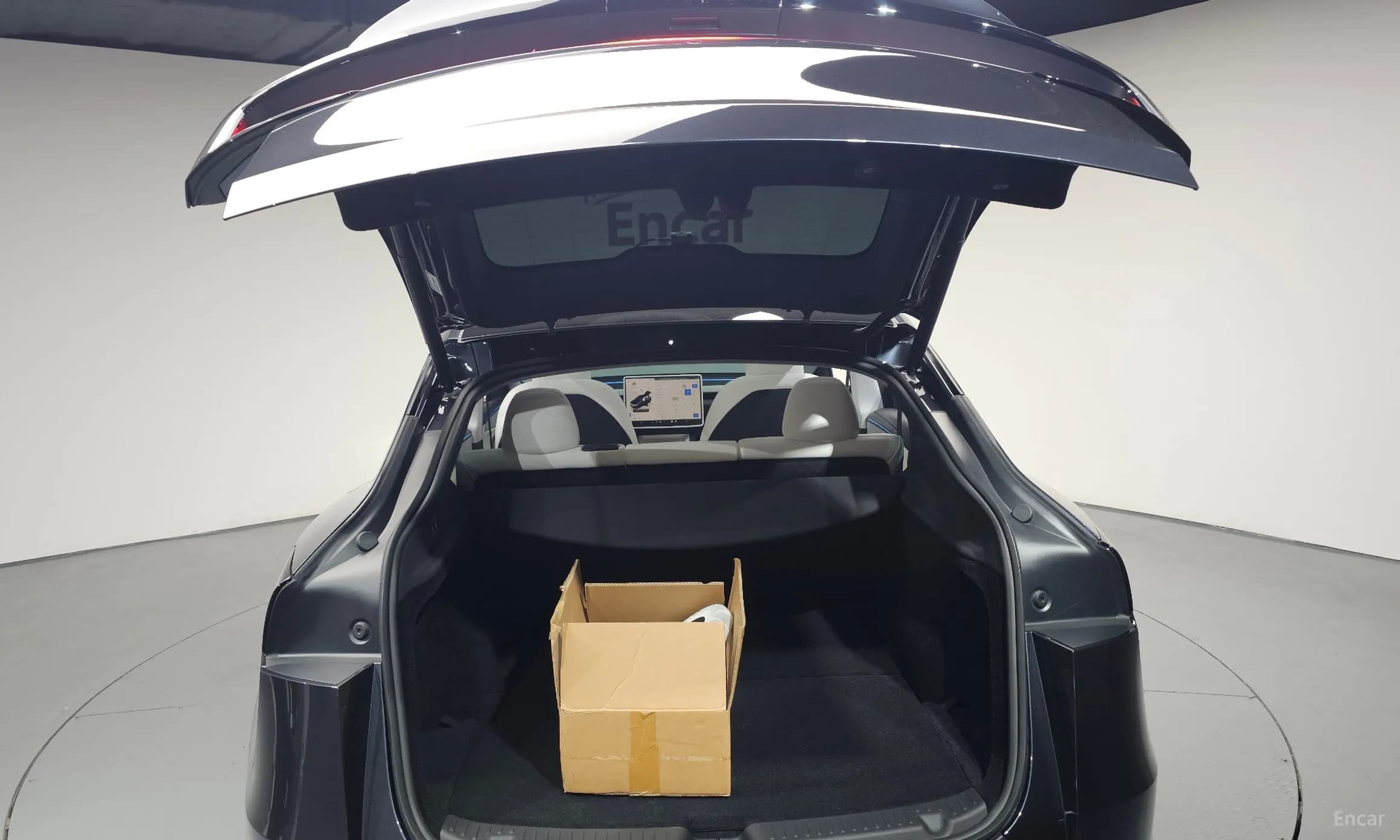 Model Y