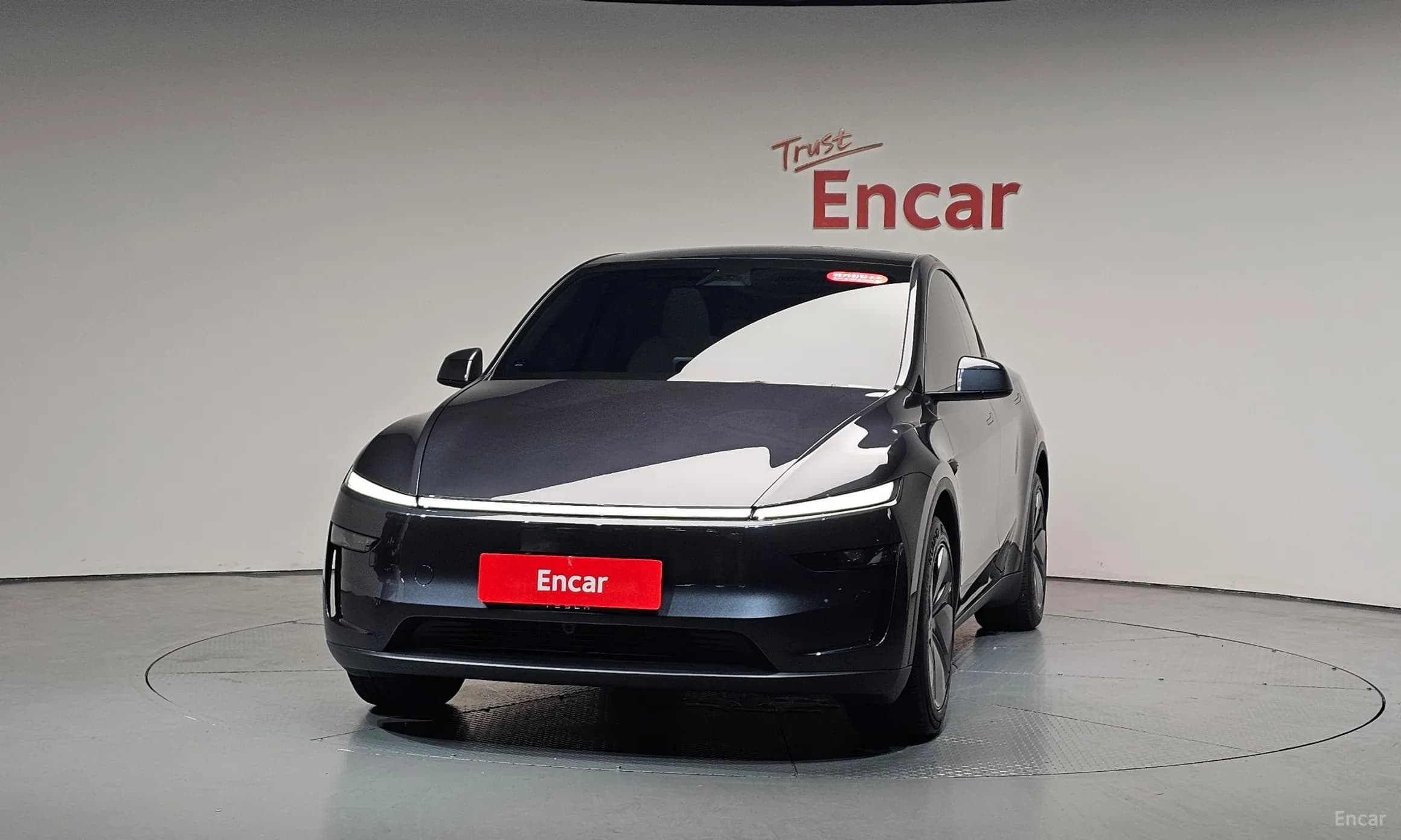 Model Y