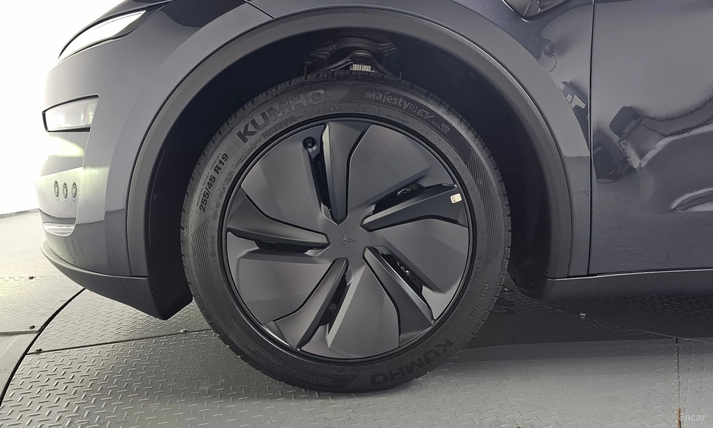 Model Y