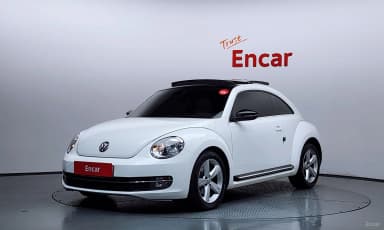 The Beetle