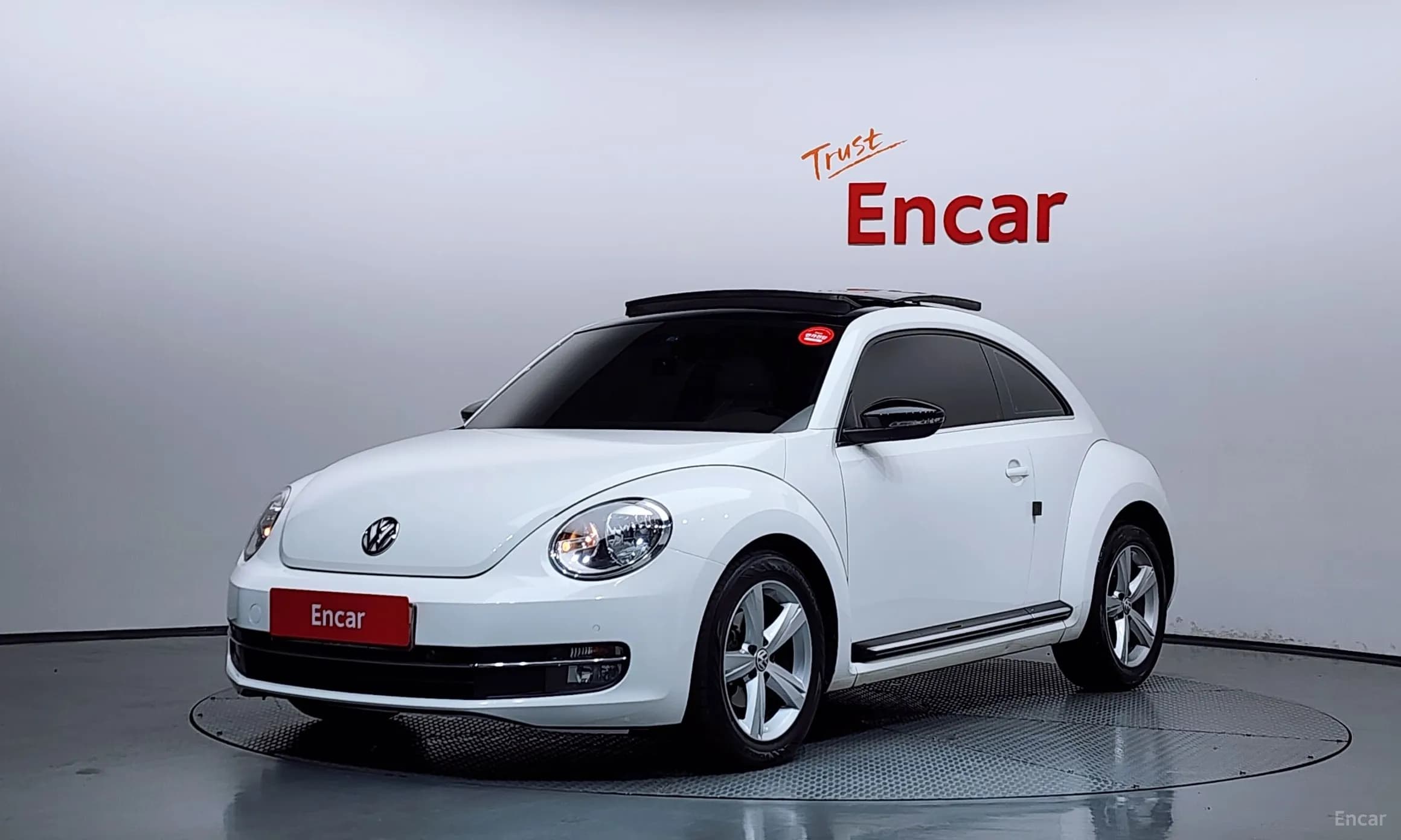 The Beetle