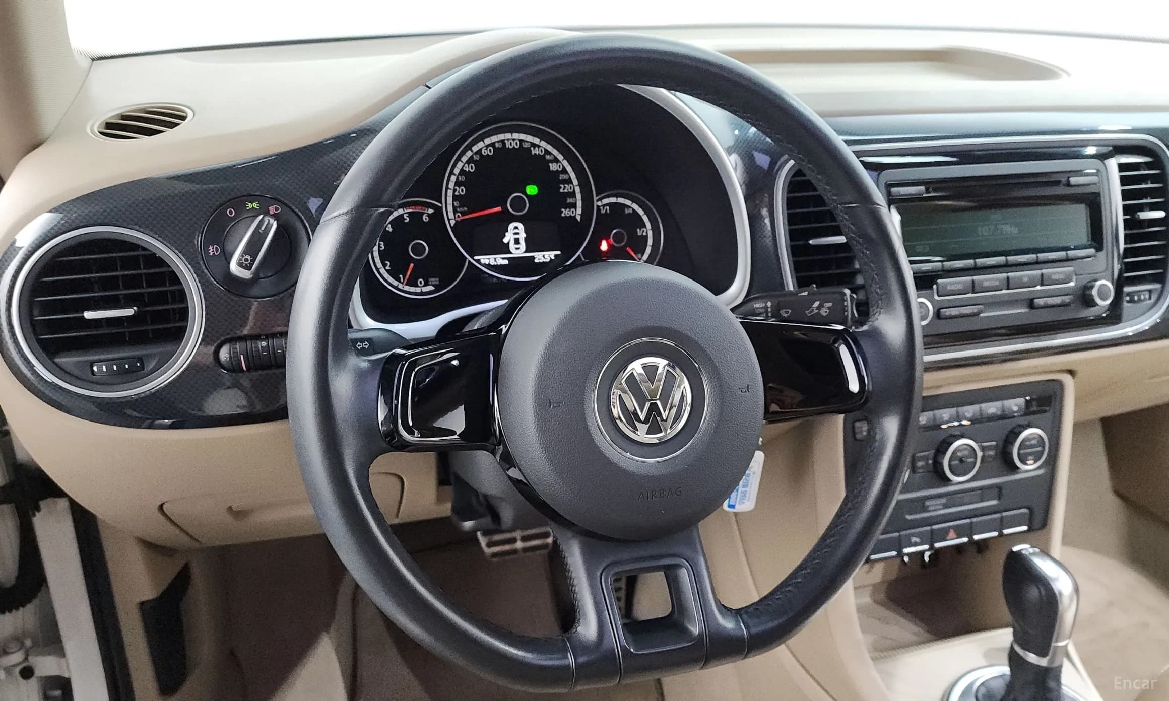 The Beetle