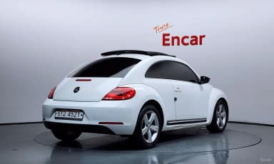 The Beetle