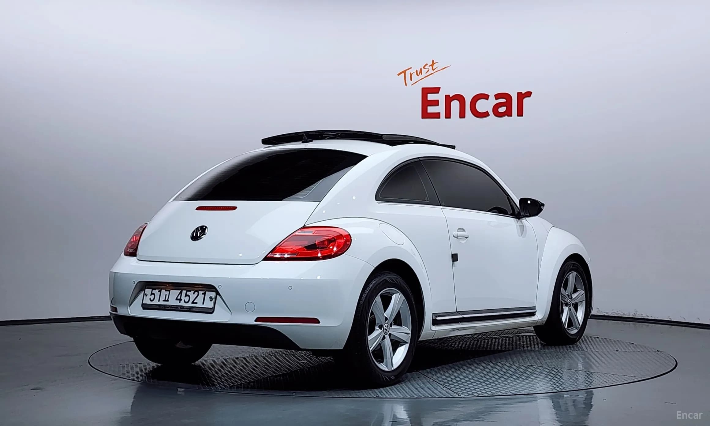 The Beetle