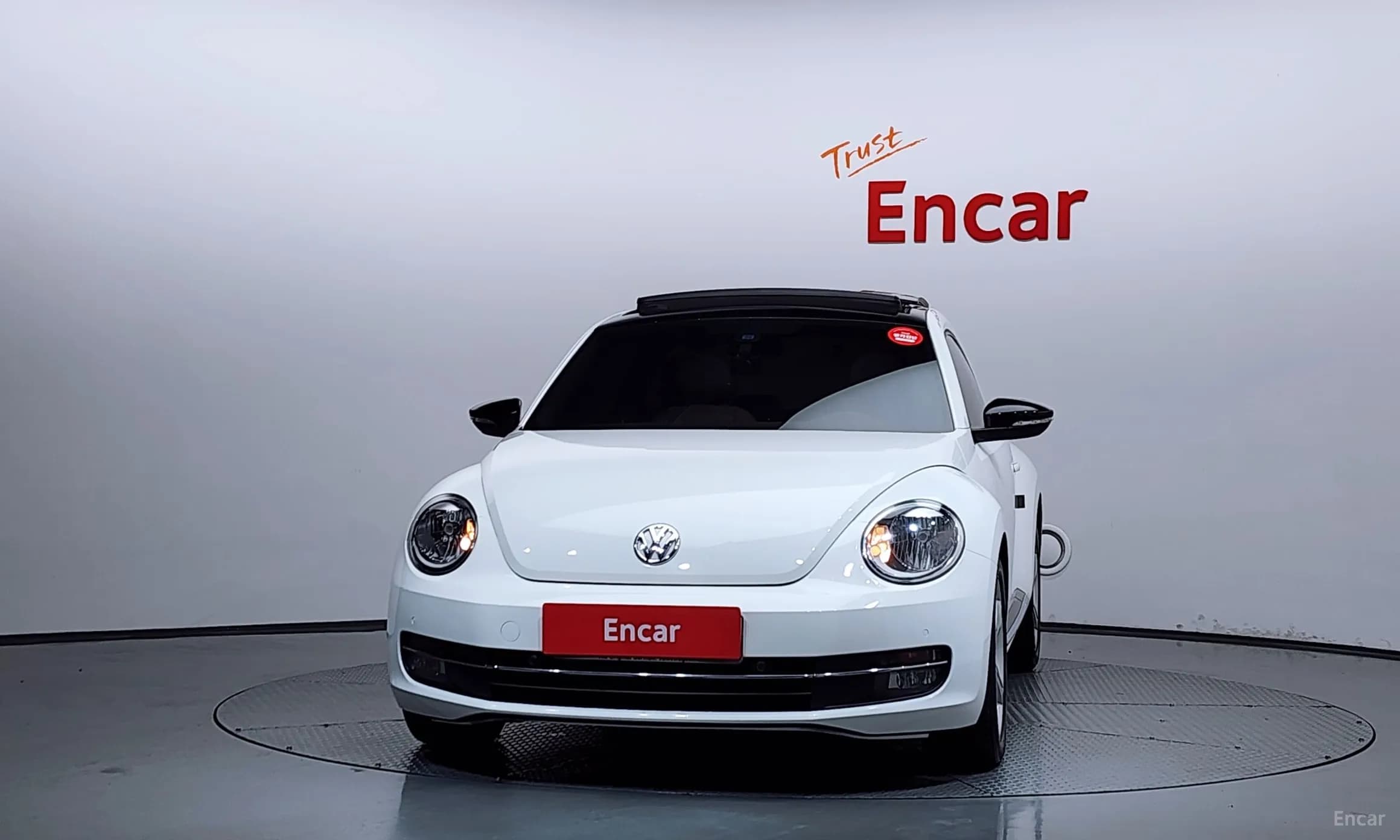 The Beetle