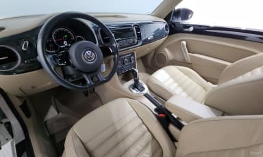 The Beetle