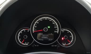 The Beetle