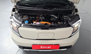 The New Kia Ray EV