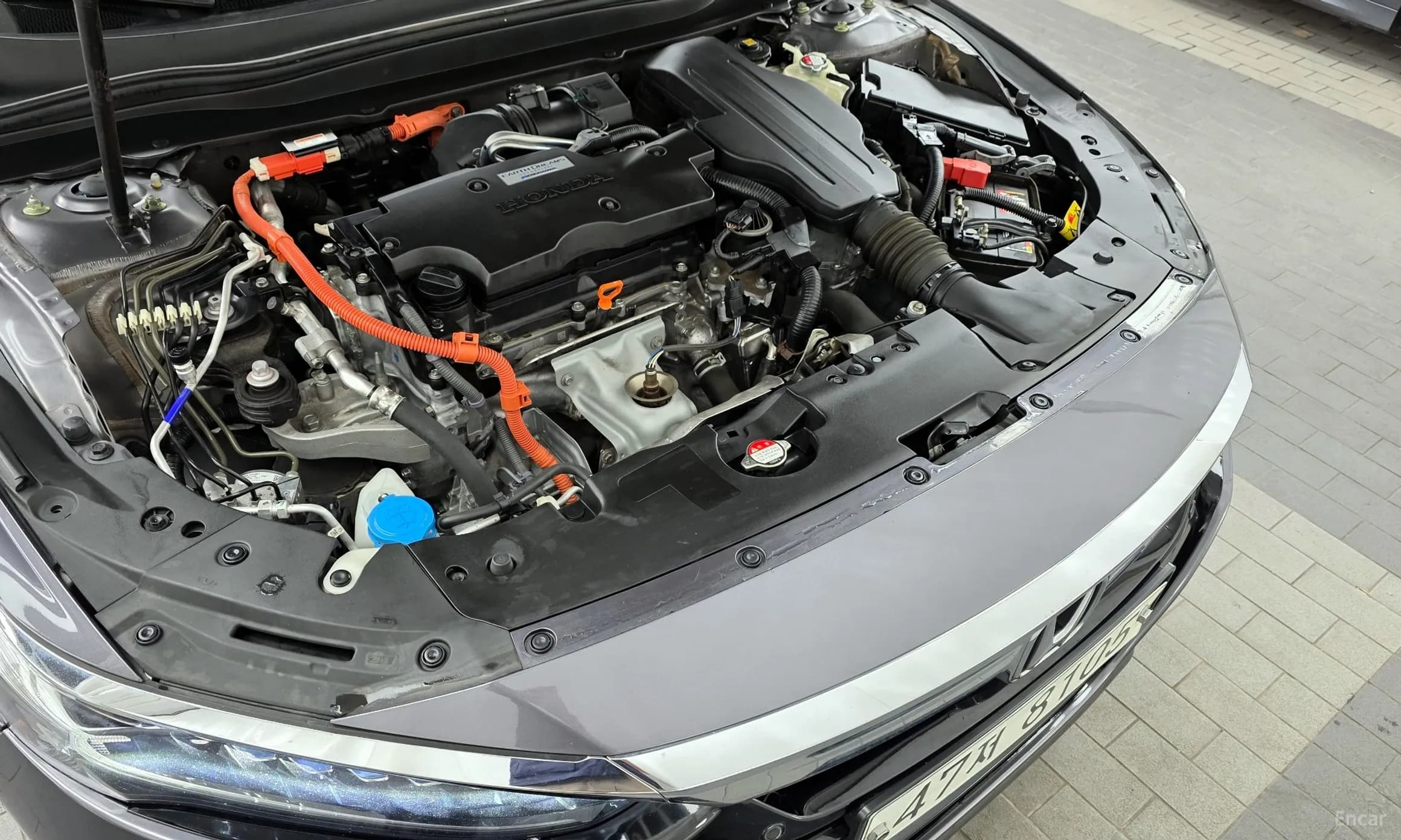 Accord 10th Generation