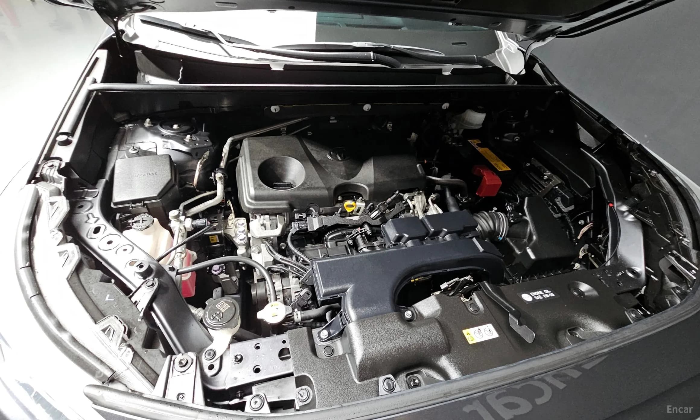RAV4 5th Generation