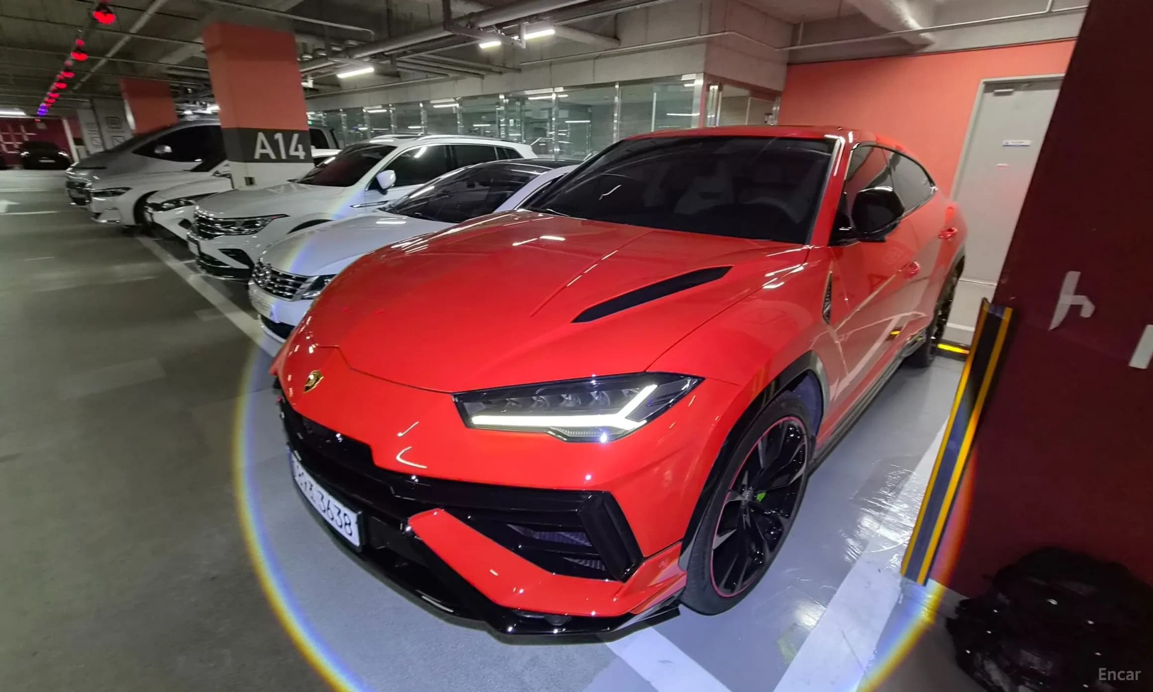 Urus