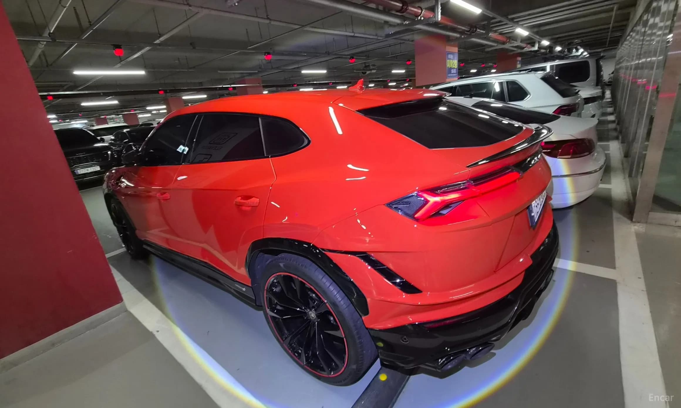 Urus