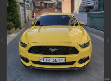 Mustang