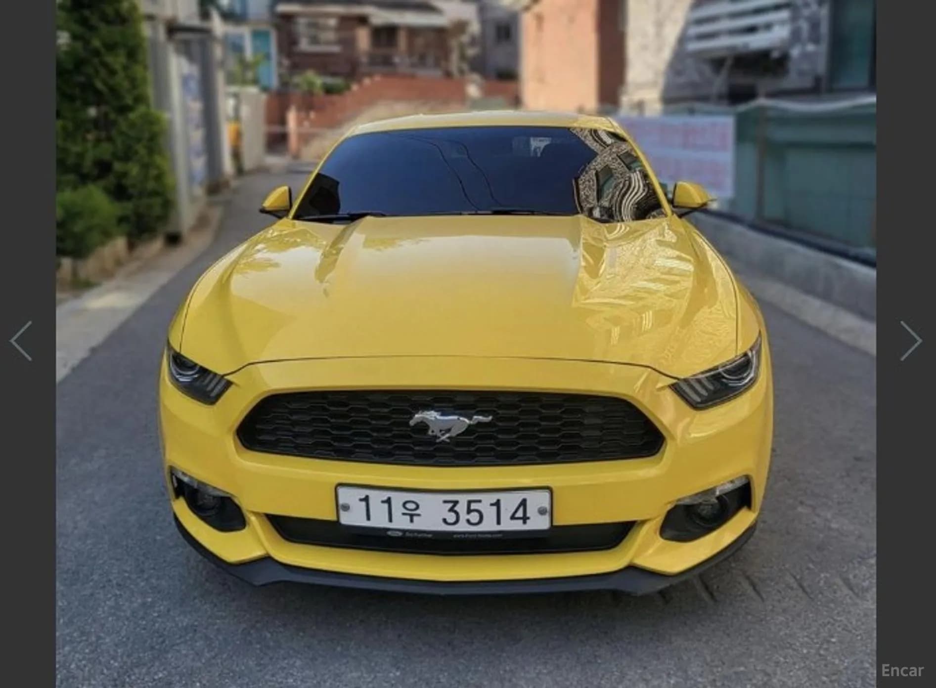 Mustang