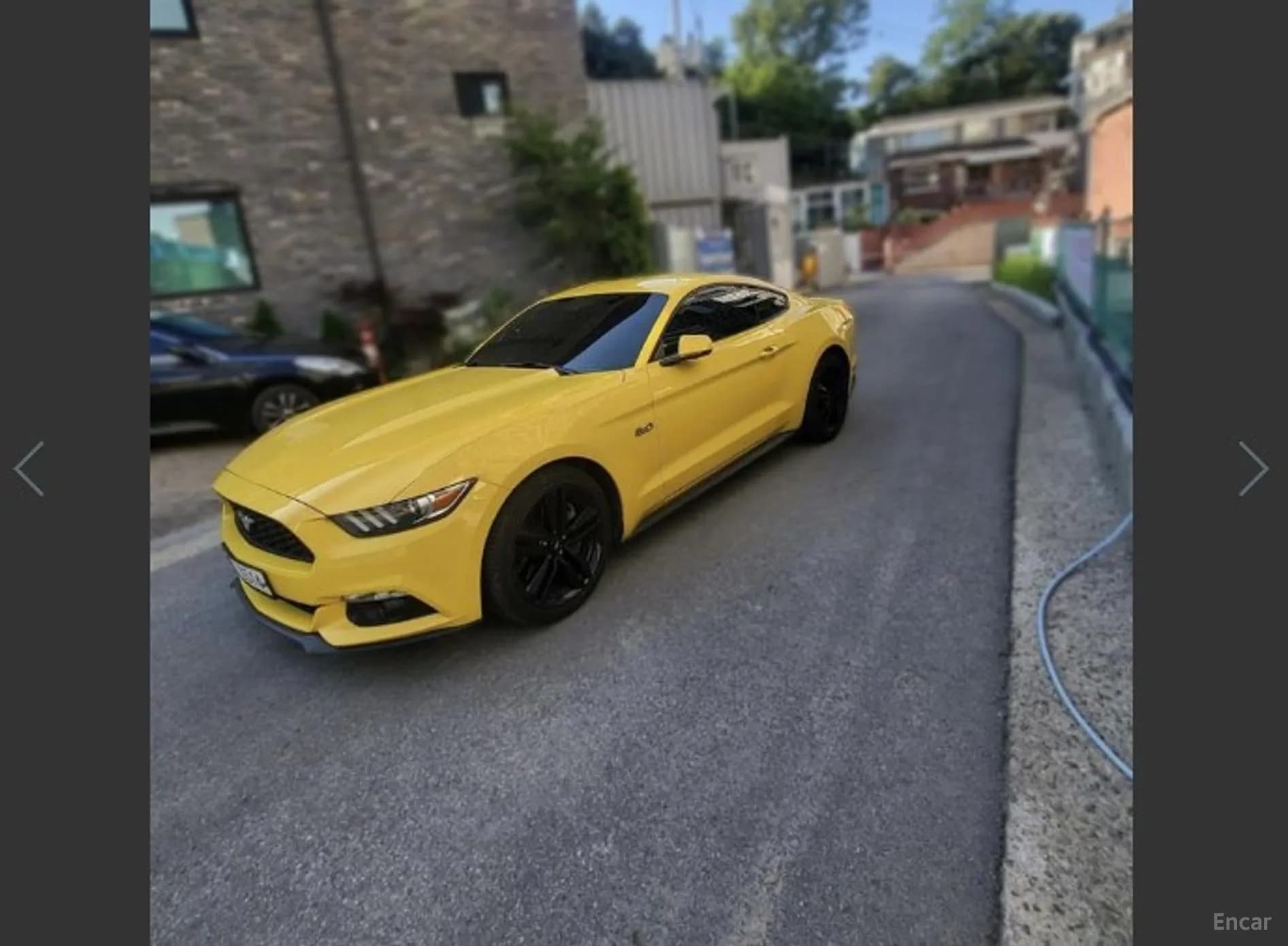 Mustang