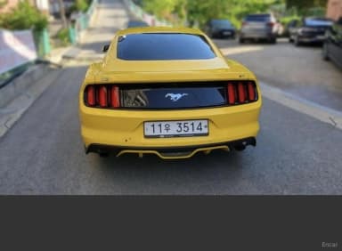 Mustang