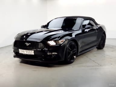 Mustang