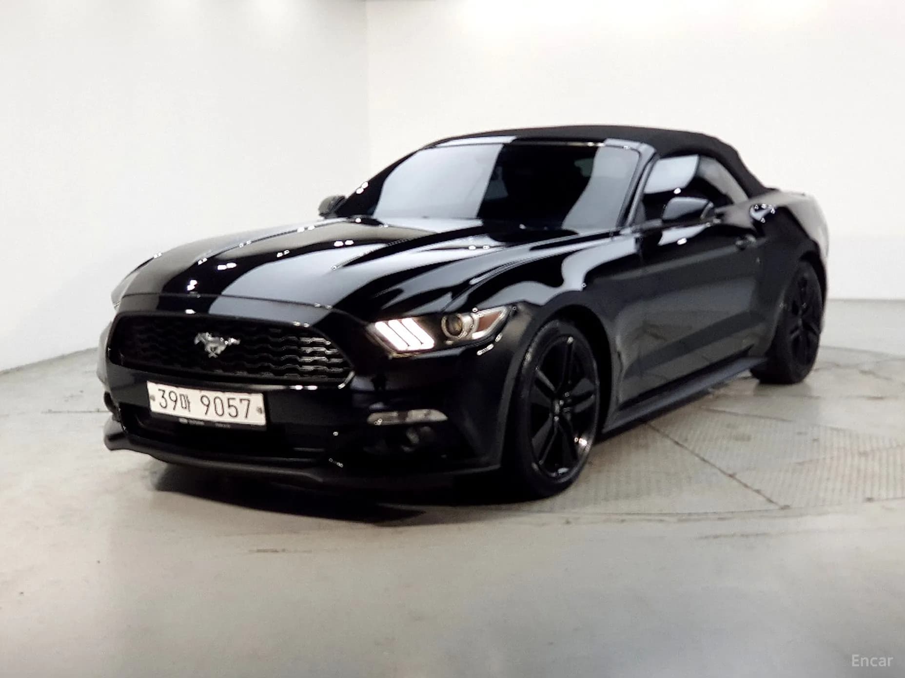 Mustang