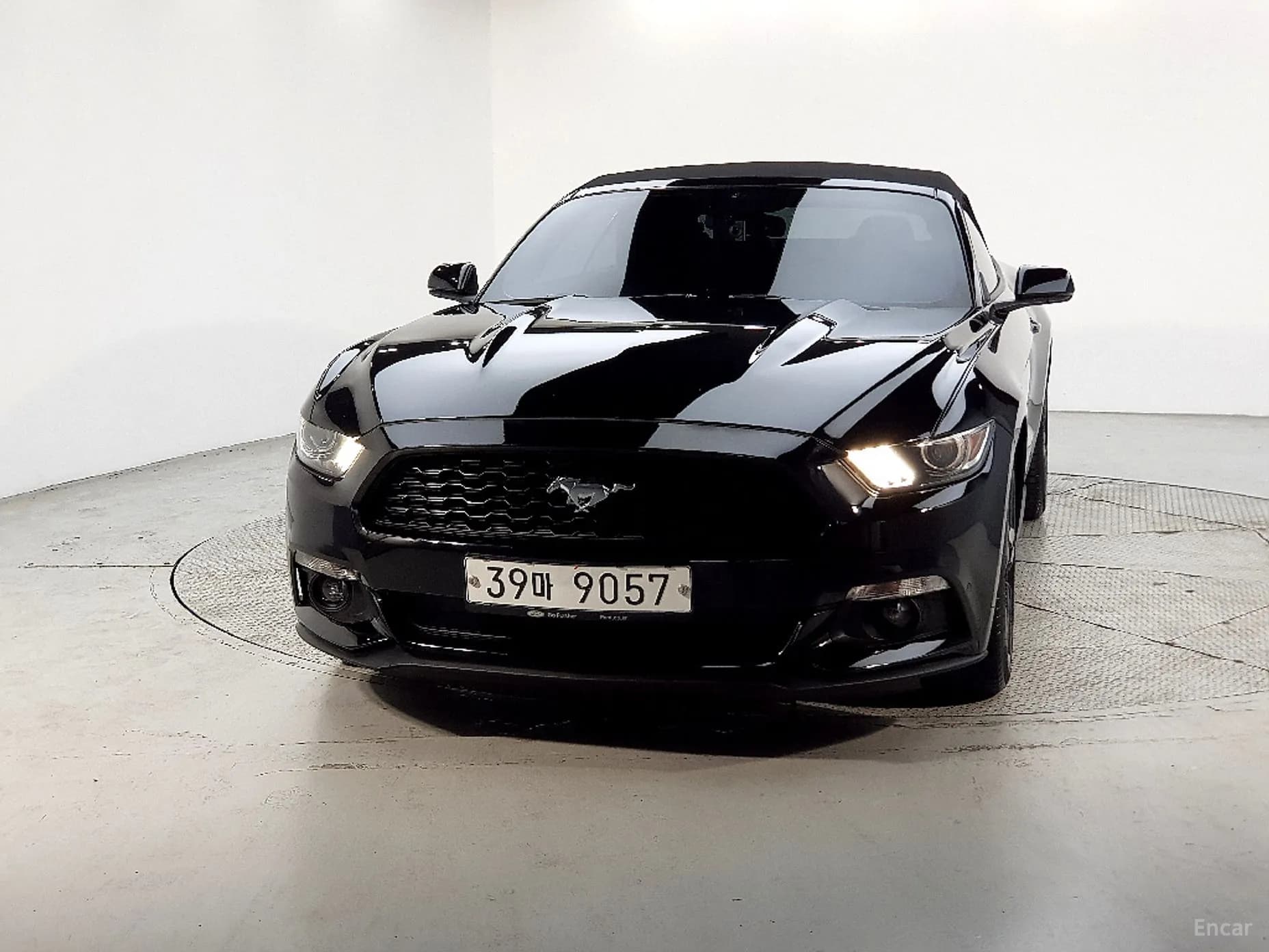 Mustang