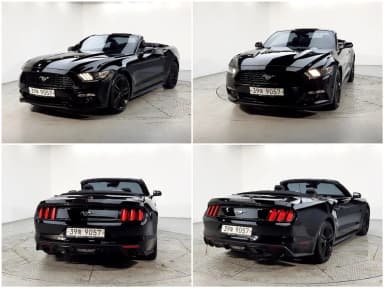 Mustang