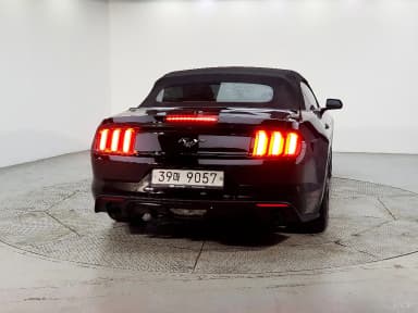 Mustang
