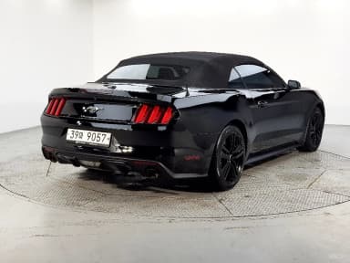 Mustang