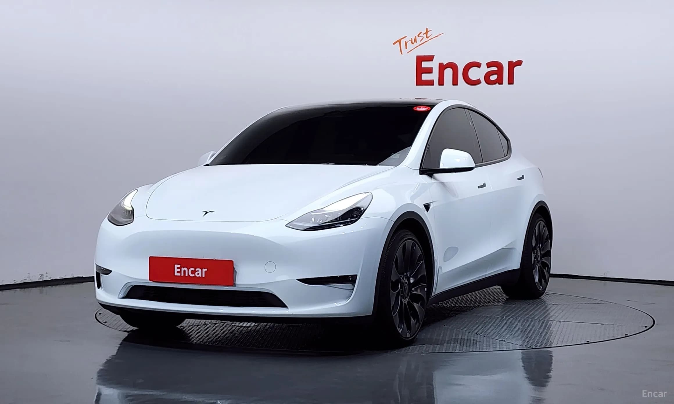 Model Y