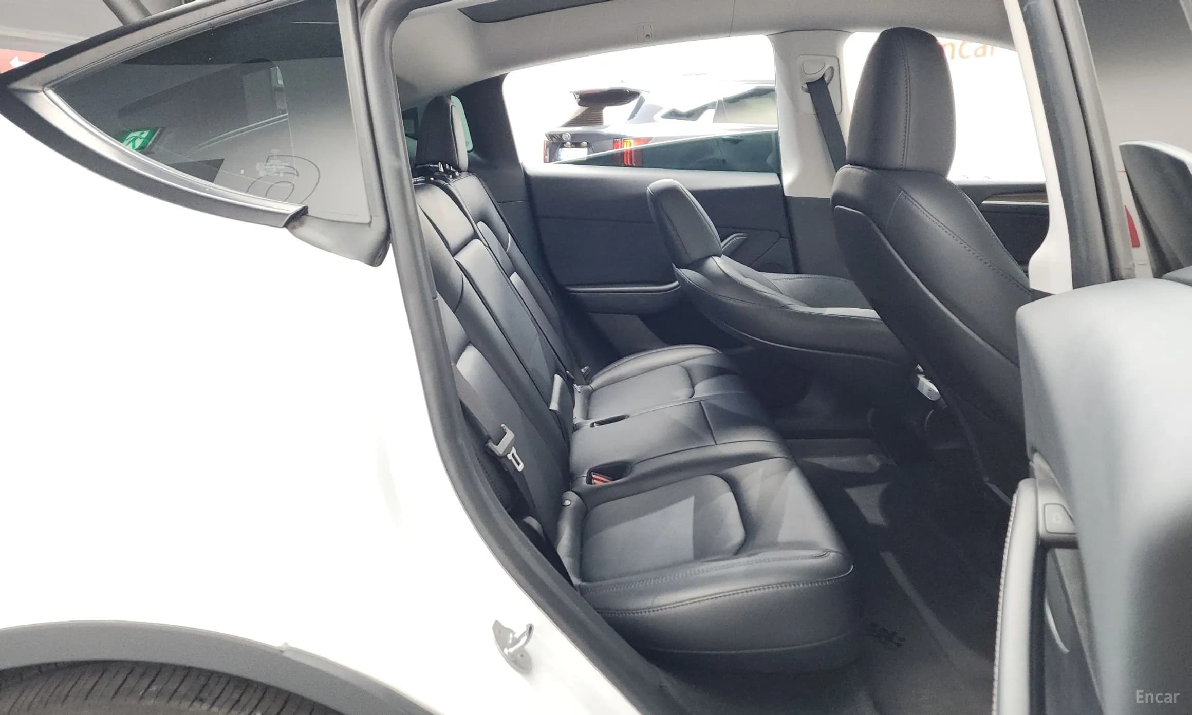 Model Y