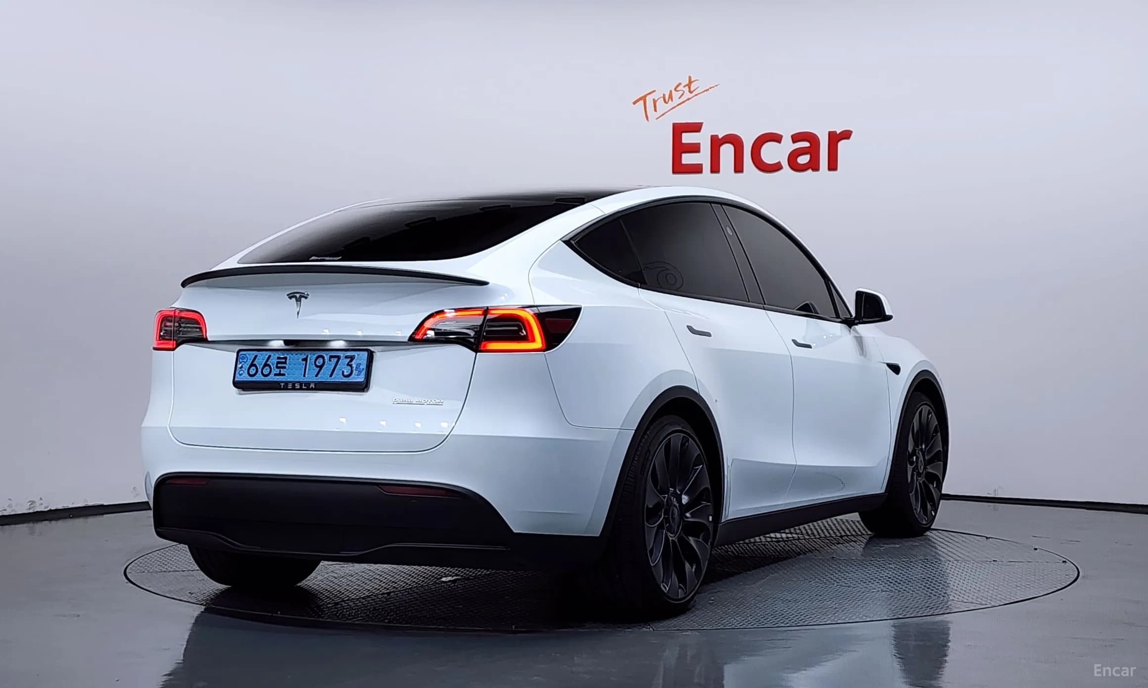Model Y